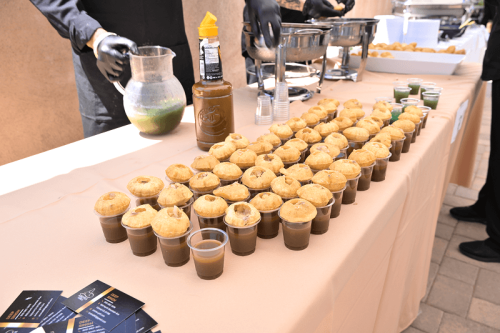 TiE 2025 Annual Family Picnic -54 1